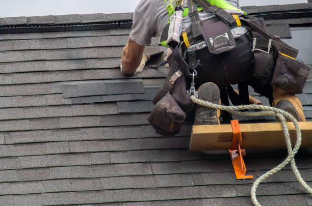 Storm Damage Siding Repair in La Homa, TX